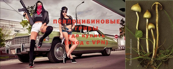 гашиш Нефтекумск